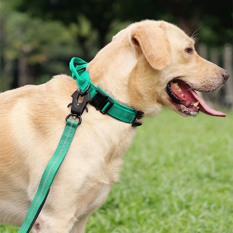 QQgift custom luxury Tactical Dog Collar and Leash Set with Quick Release Buckle Adjustable Training Dog Collar with Handle