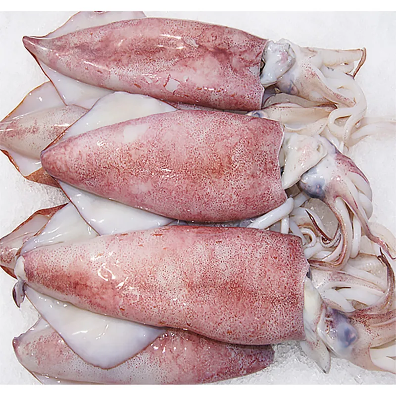  Горячая Распродажа морепродукты набивные кальмары 20%