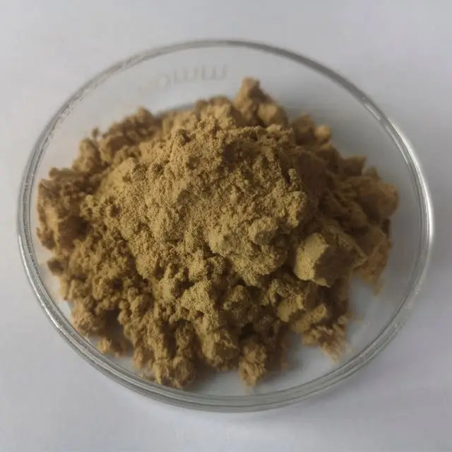 Wholesale High Quality Natural Organic Clean & Pure Senna Leaves Extract Powder