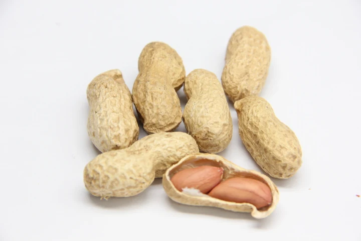 raw dried peanuts in shell