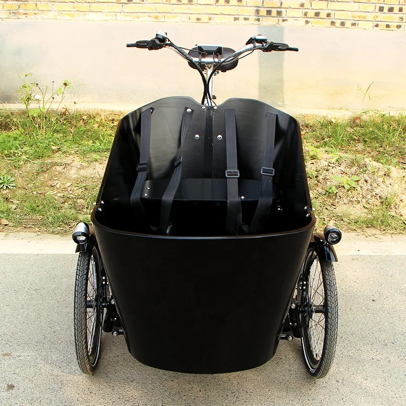 electric paPassenger tricycle cargo trike with three seats new three wheel adult car fashionable leisure Family use cargo trike