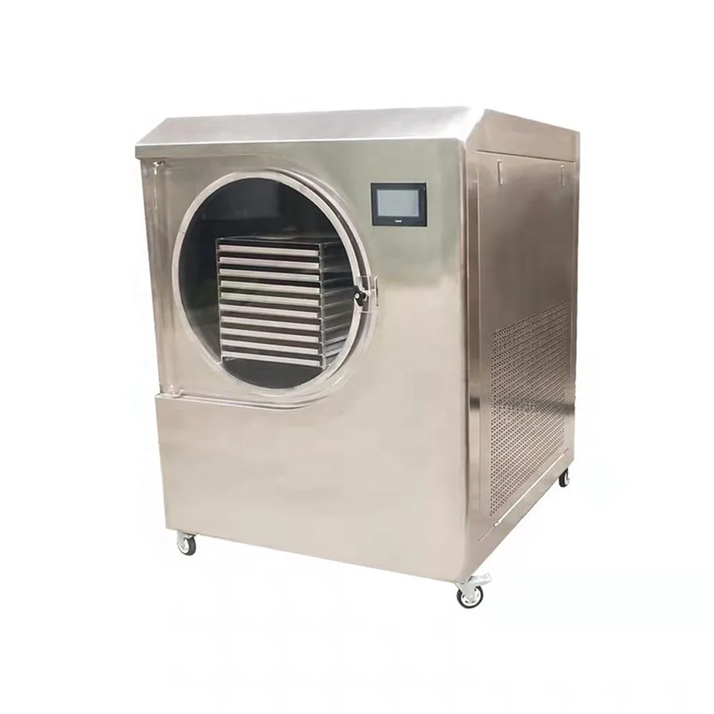 Good price Laboratory Pharmaceutical Food Pilot Heating Vacuum Freeze Dryer Machine Chemical Industries