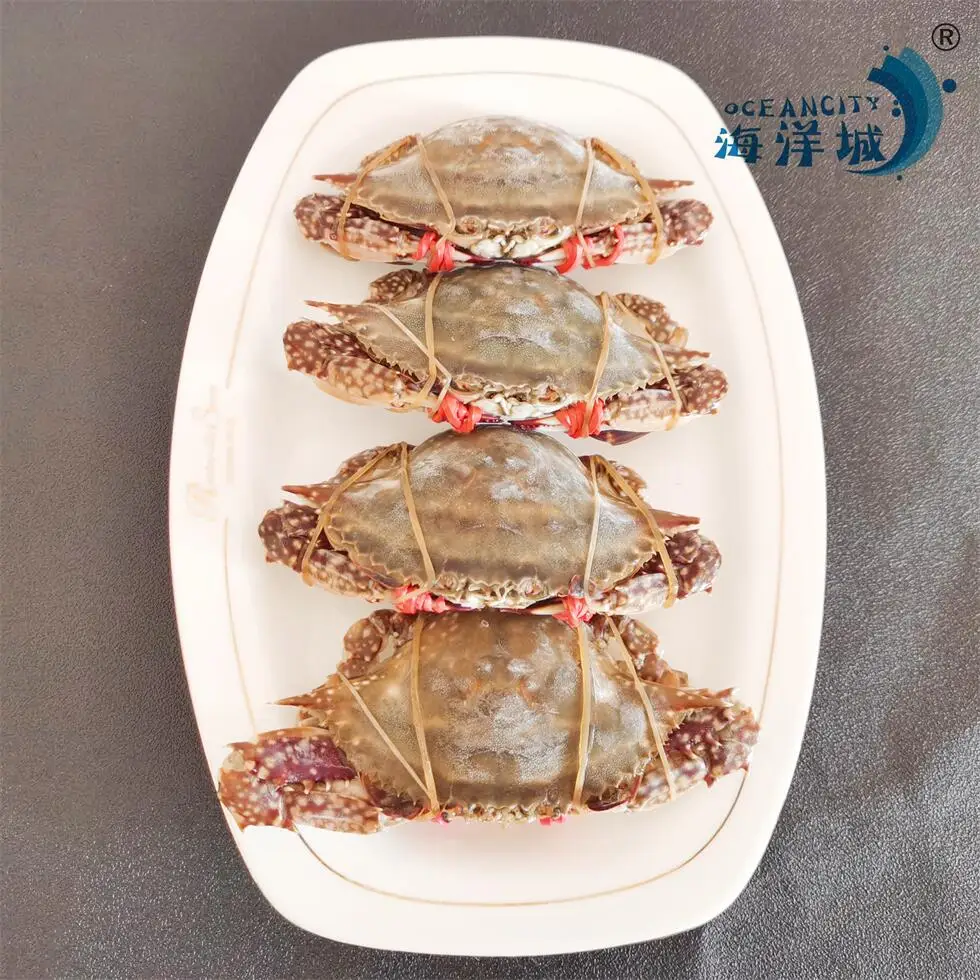 Высококачественный плавающий Краб для замороженных морепродуктов на продажу