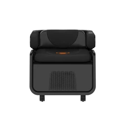 Synogal noninvasive ems muscle repair incontinence repair vaginal tightening pelvic floor machine