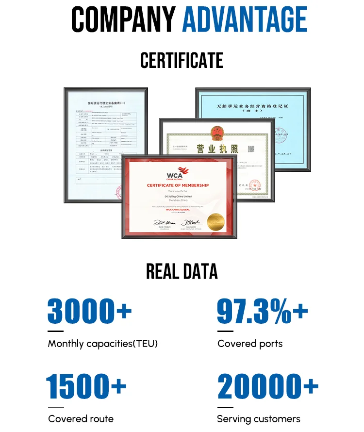 Company profile 2.0.png