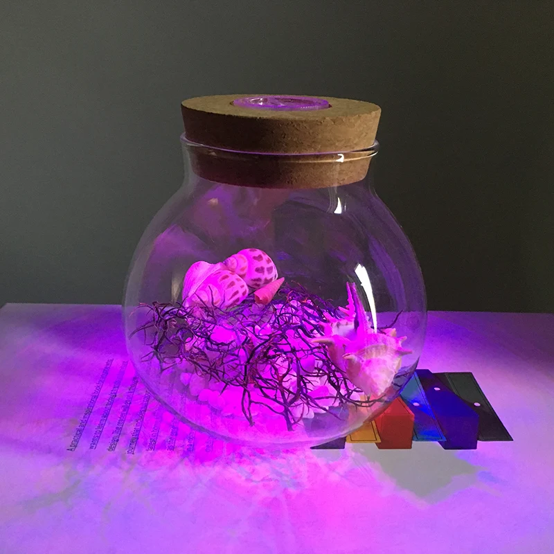 Sea Hornbeam and seashells in bottle with multi color LED light sand nautical gift house decor home decoration gift desktop