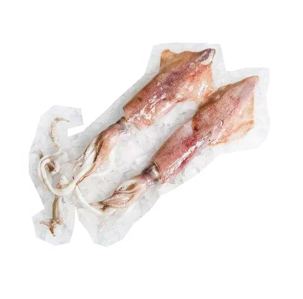 Amazing Whole Cleaned Squid Live Squid Frozen Todarodes Pacific Squid for Sale