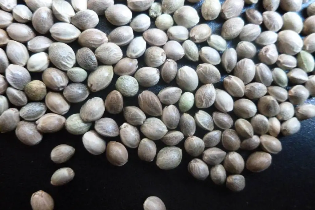 Ningxia органические шелушистые Семена