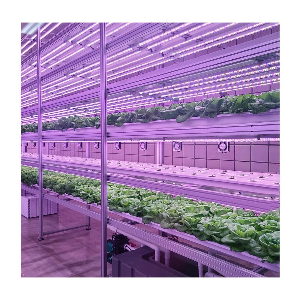 Customized High Efficiency LED Plant Grow Lighting Tube for Indoor Green Leaf Vegetables Flowers Fruits