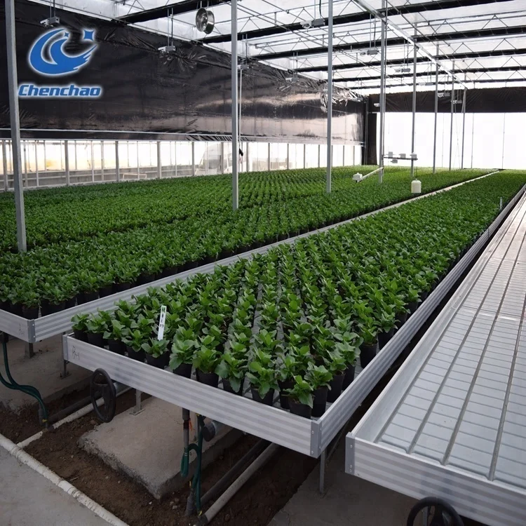 vertical farming equipment greenhouse drain trays used greenhouse benches for sale