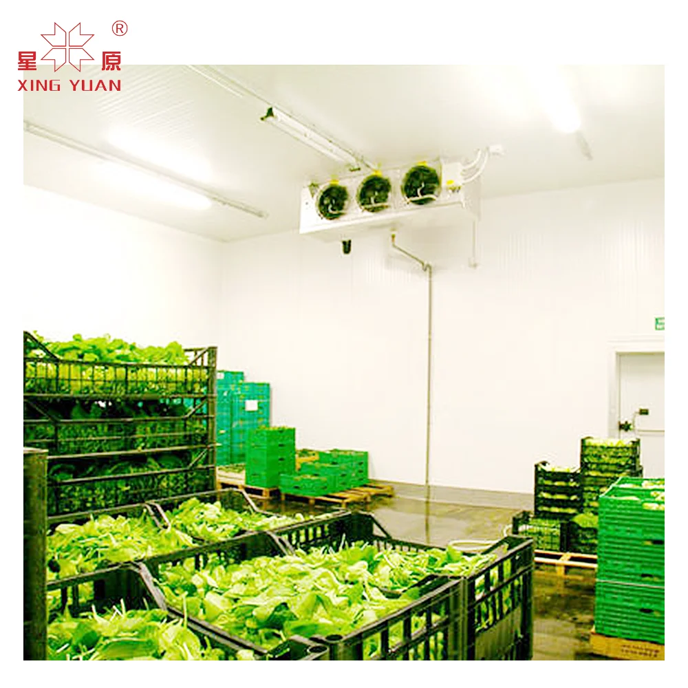 Commercial Walk In Cooler Cold Room Cold Storage Freezer Container Cold Room