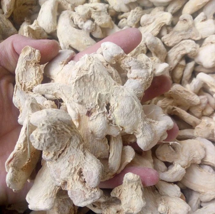 Bulk spices and seasonings ginger root wholesale price dried ginger Hot pot ingredients whole dried ginger root