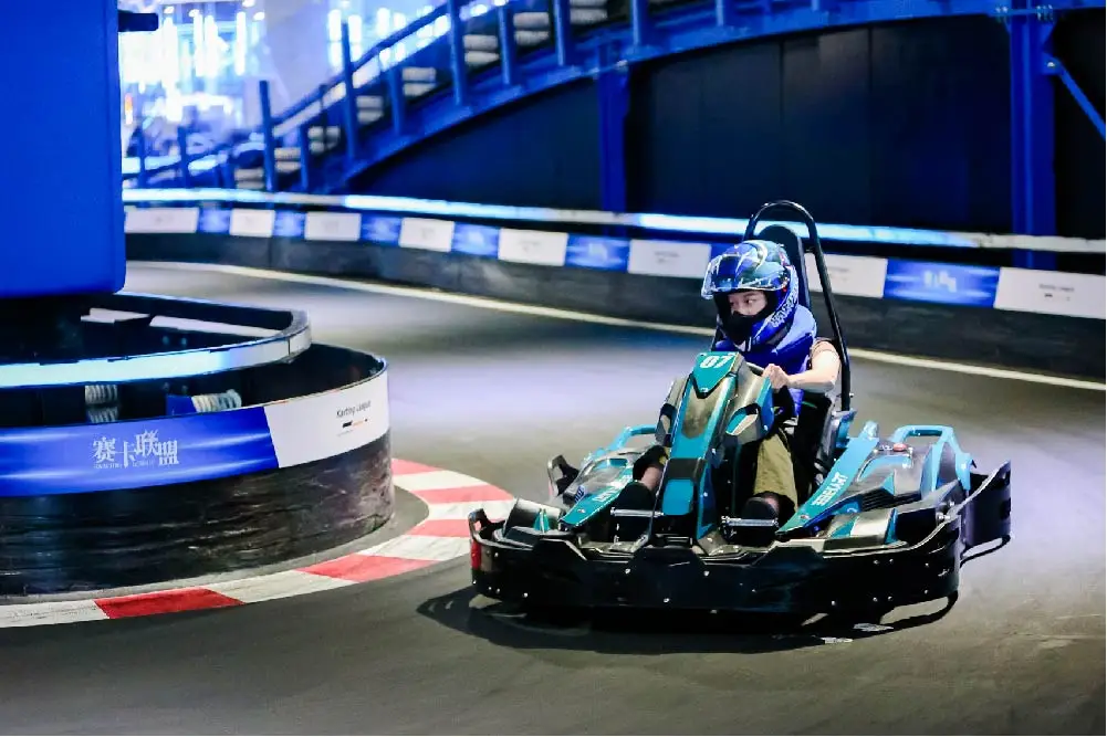 electric motor  SQ 333  Electric Go-Kart