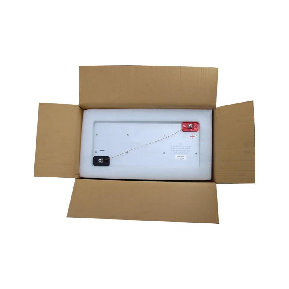 Supercapacitor Module 48V 165F Ultracapacitor Module