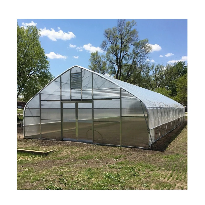 Low Price China Greenhouse With Hydroponic Systems
