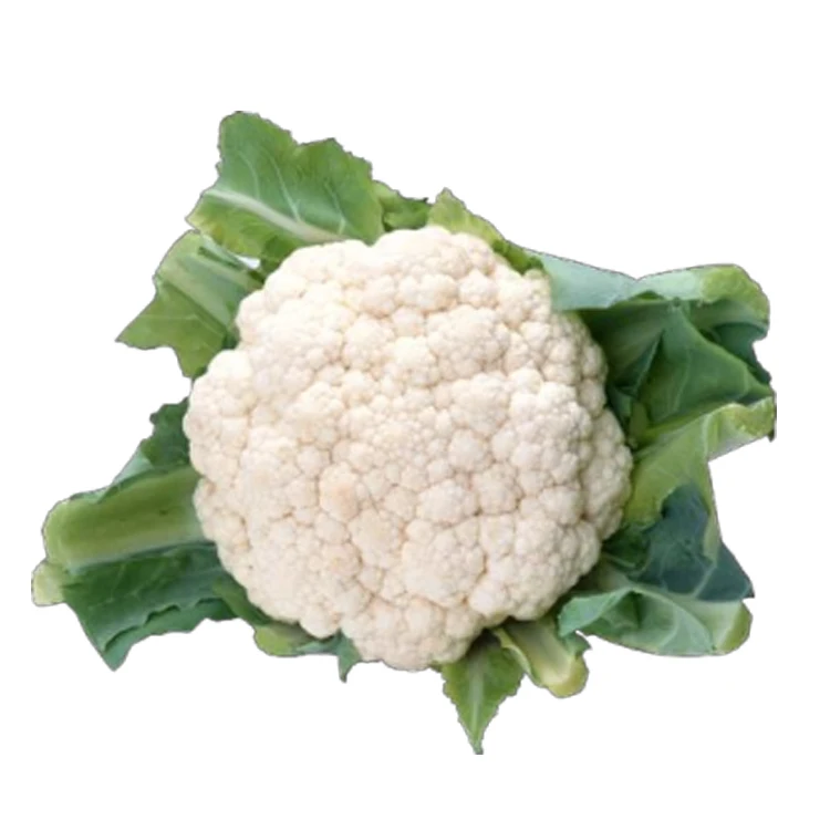 
Professional Factory Direct Selling Quality Natural Fresh Vegetables Cauliflower 