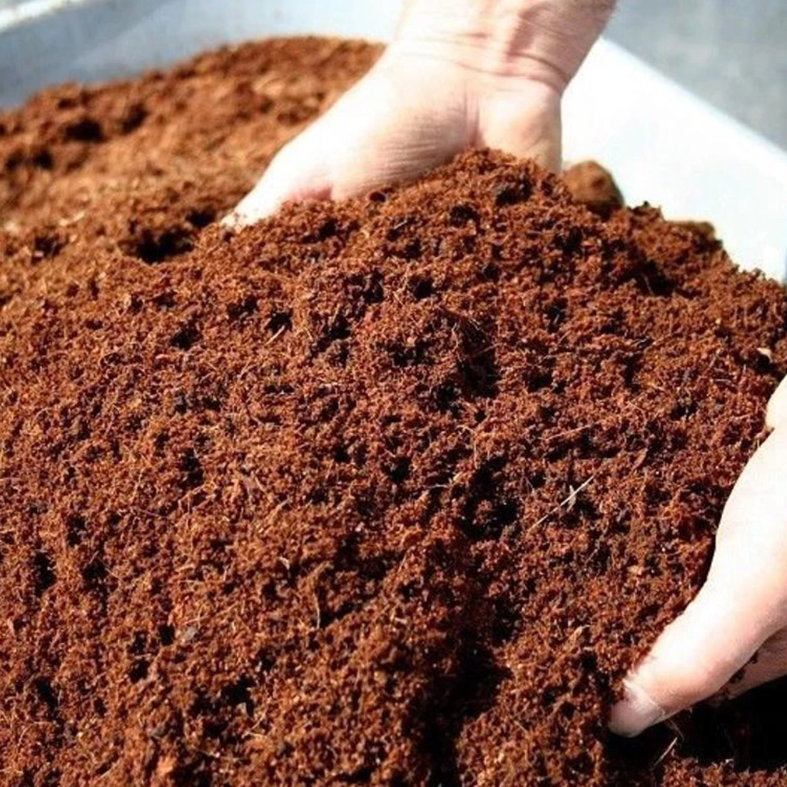 Cocopeat Sri Lanka Cocopeat Bloque Coconut Peat Fibre Block Coconut Coir 5kg Blocks Coco Pith Peat