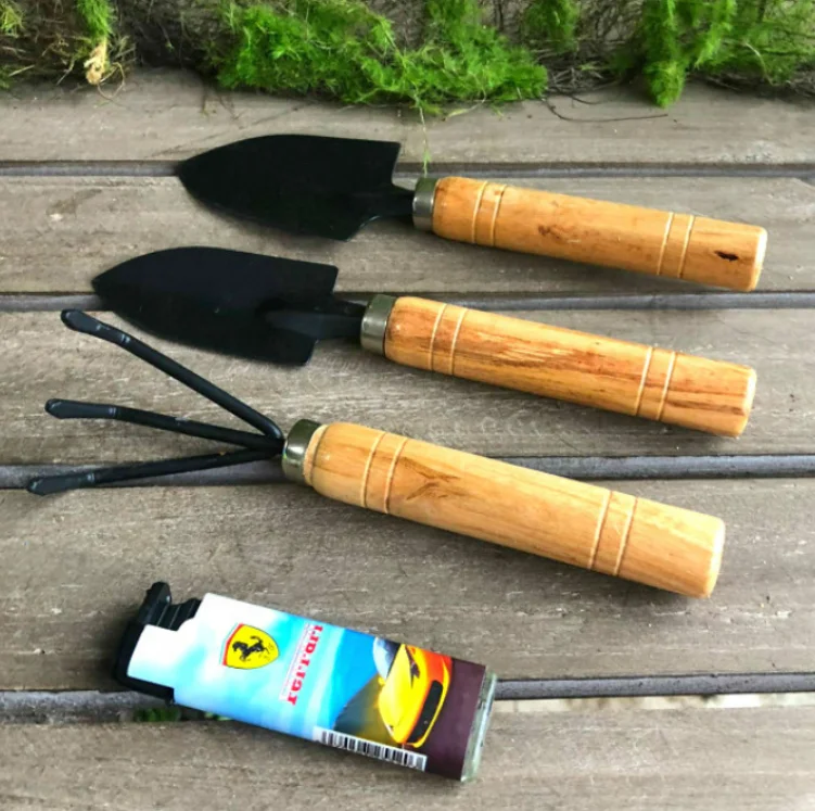 Mini 10 Pcs Succulent Flower Bonsai Garden Tool Kit Customizable OEM Clean Brush Shovel Scissors Clips Rake Garden Sets