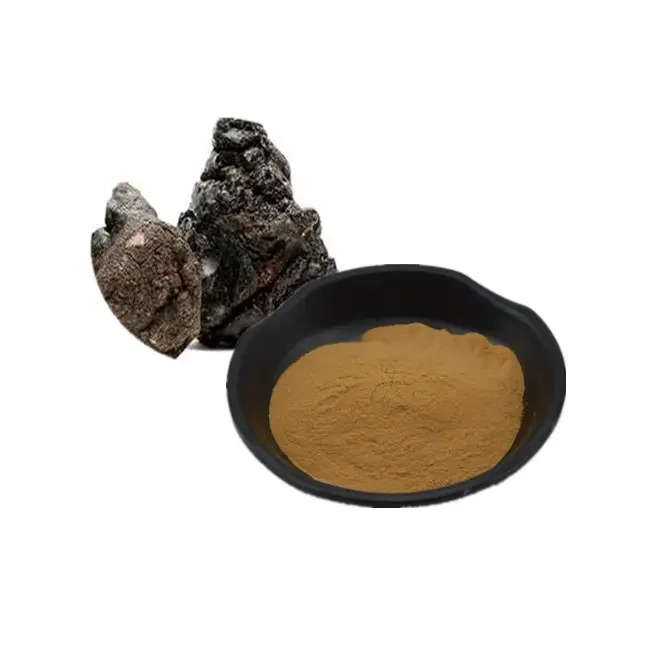 100% Pure Shilajit Extract Powder 50% Fulvic Acid Shilajit Extract