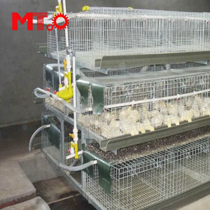 
 Конструкция 5000, птицы, куриный домик, конвейер из ПП, куриный слой, навоз, ремень для птичьей клетки  