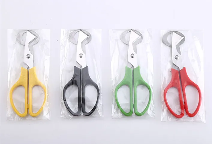 Hot Sale Kitchen Accessories Wholesale Mini Pigeon Quail Egg Scissors