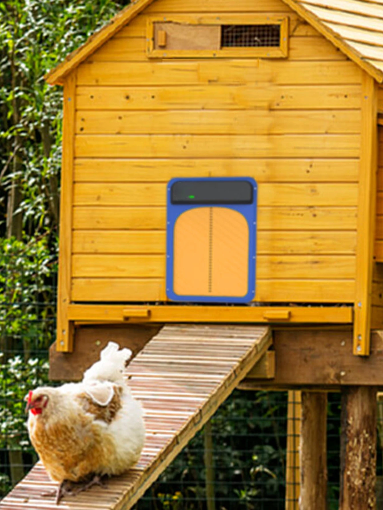 New Design Plastic Light Sensor Automatic Chicken Coop Door With Wholesale Price