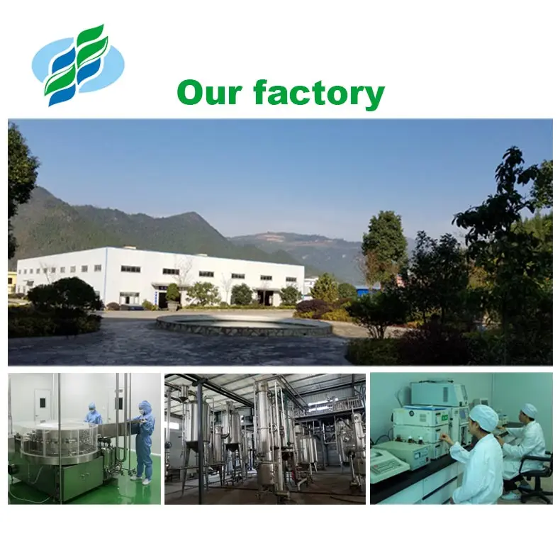 Food Grade 4A Matcha Green Tea Powder Authentic Matcha