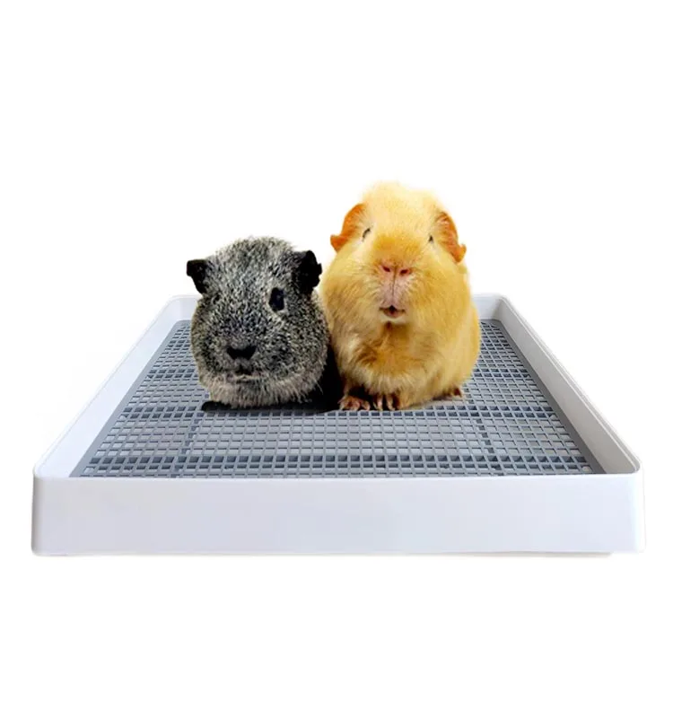 Guinea Pig Training Pan Cage Accessories Toilet Tray Ideal Rats Hamster Ferret Dwarf Rabbit Large Litter Box