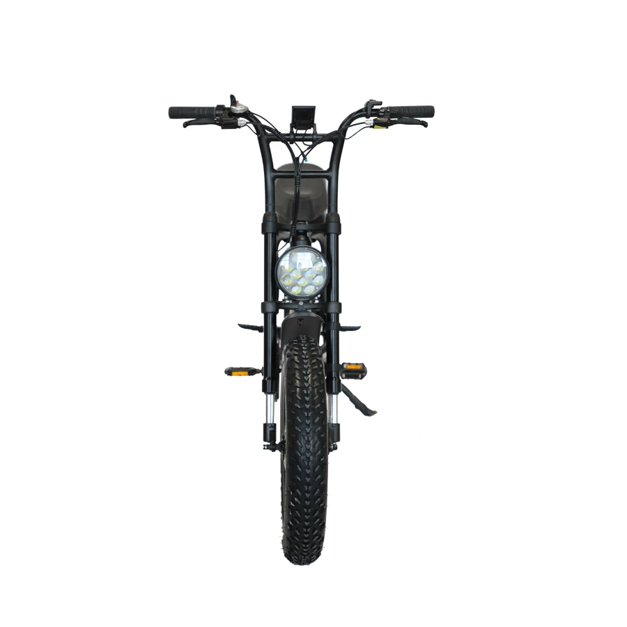 Factory direct 20 inch Large capacity dual battery all terrain vehicle  Electric Mountain Bicycle