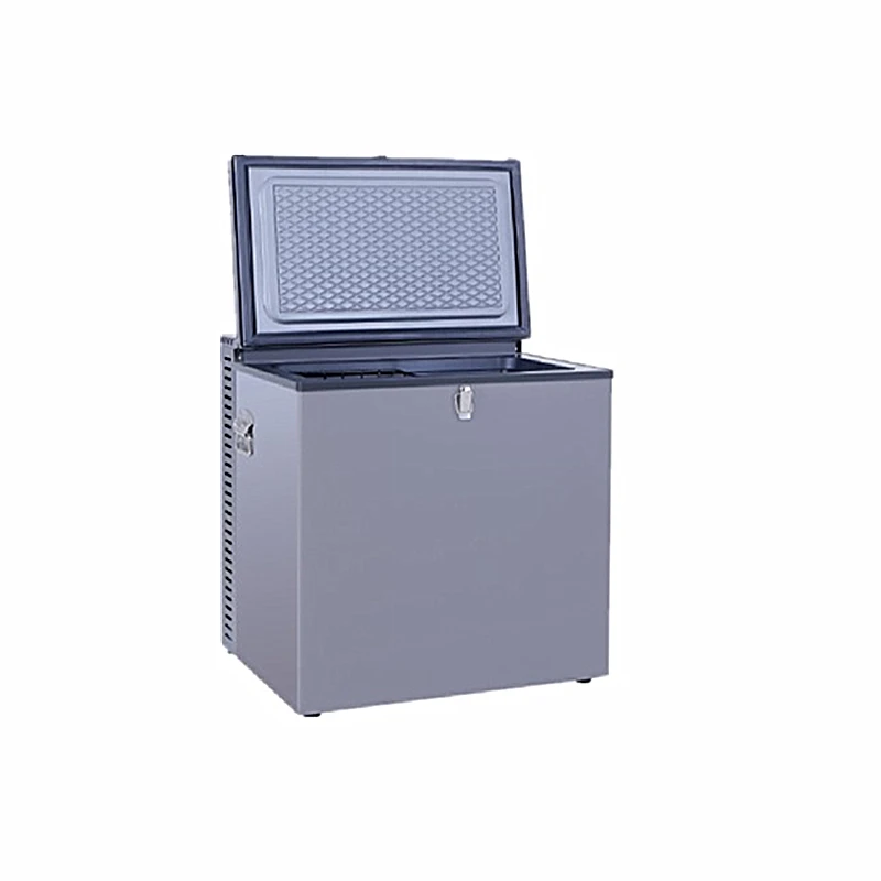 61L портативный газовый морозильник AC 110V/ 220V