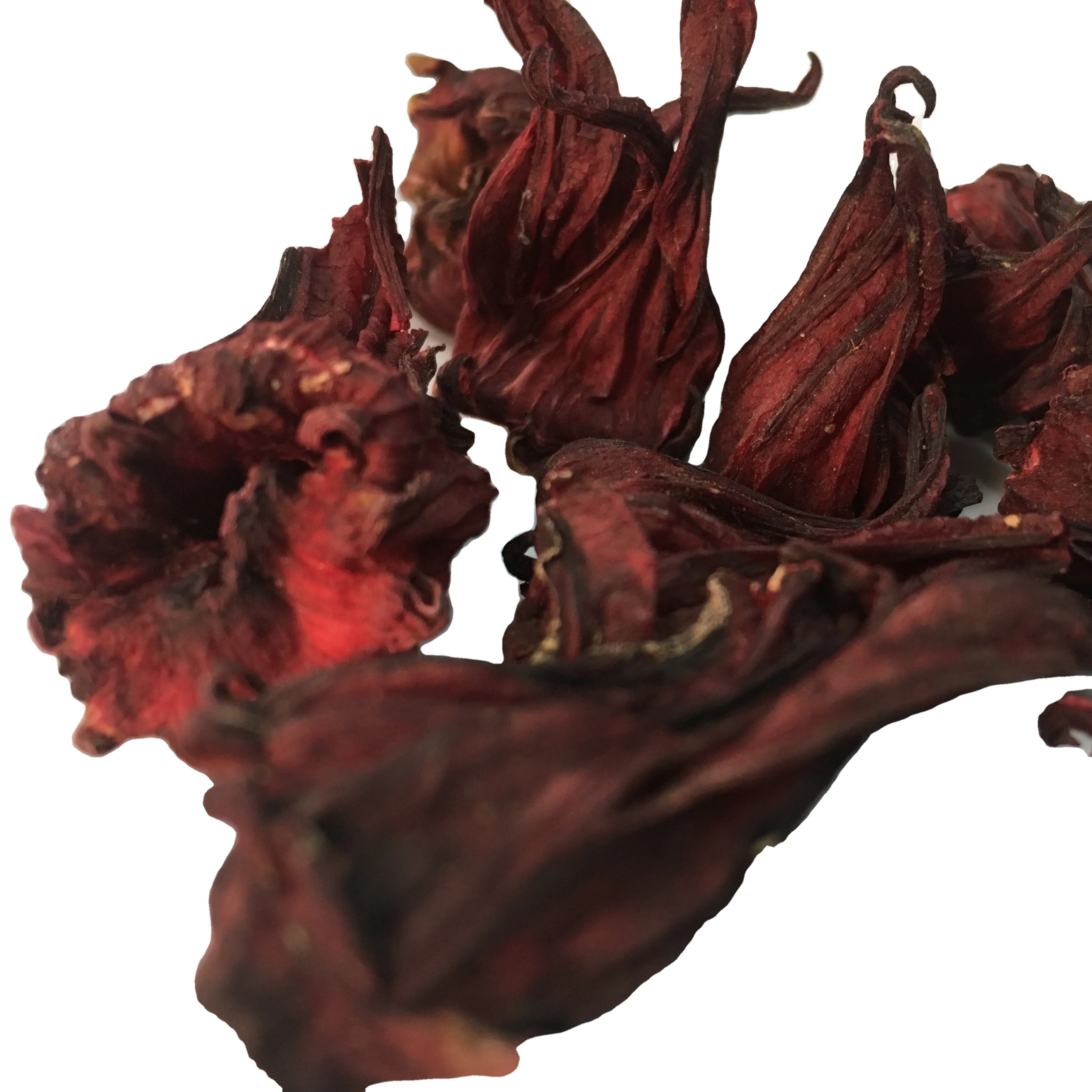 hibiscus closed flowers with buds ASWANI roselle clean high quality no stem no powder no impurities good for tea fresh crops