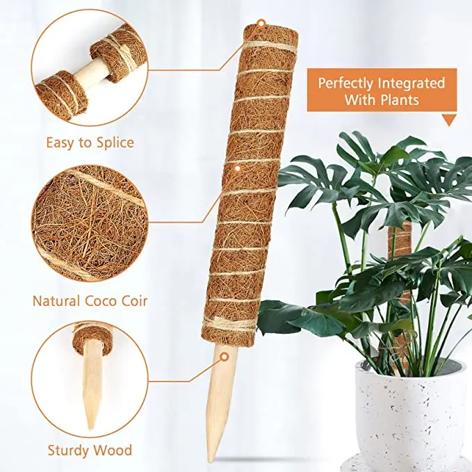 Hot Sale Professional Lower Price Sphagnum Plant Coir Moss Pole