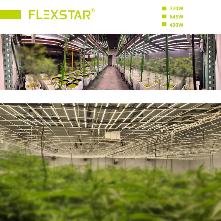Flexstar США Канада склад Доставка в течение одного дня Samsung 301h 301b Диммируемые светодиодные светильники полного спектра для выращивания