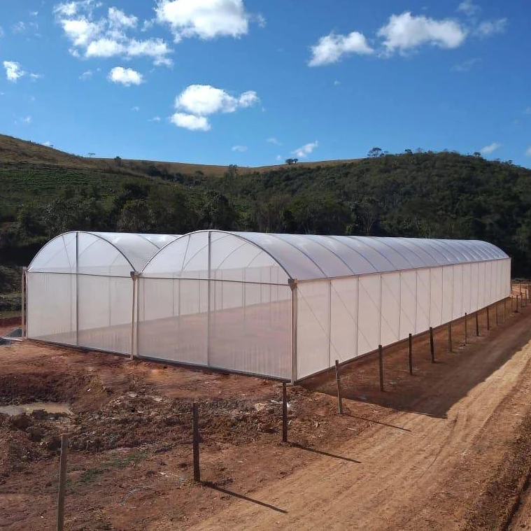 Popular Low Cost Commercial Greenhouses  Insulation Tunnel Greenhouses Heating Systems Multi Span Greenhouse For Walking
