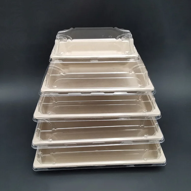 Kingwin Natural Biodegradable 100% Compostable Disposable Rectangle Sugarcane Bagasse Food Tableware Tray
