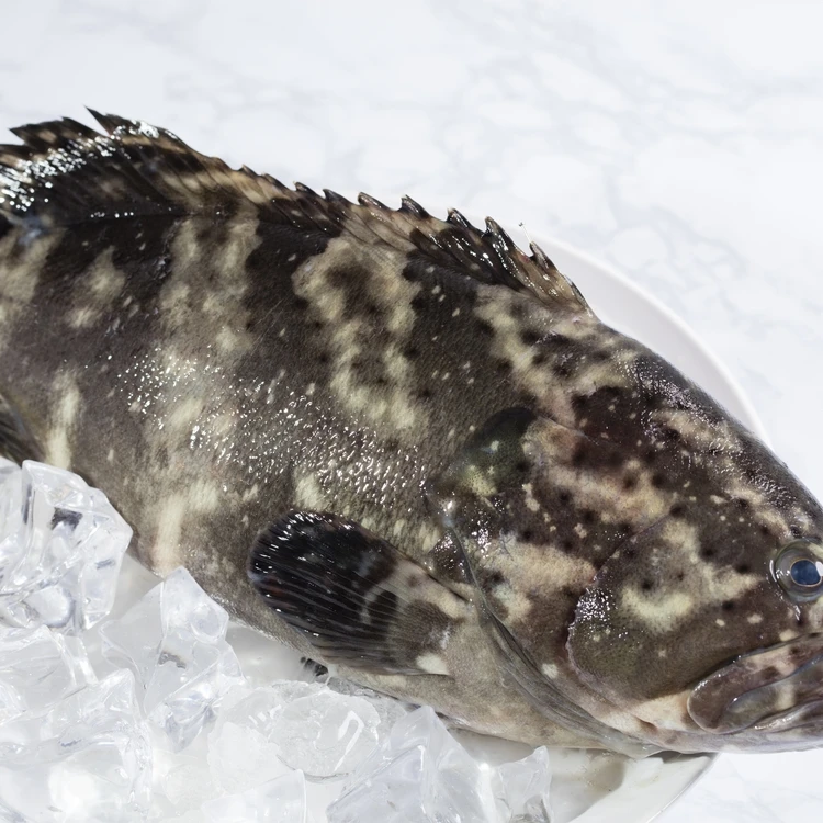 
Certified healthy grouper fish head fried with wine, sesame oil and soy sauce (cooked) 