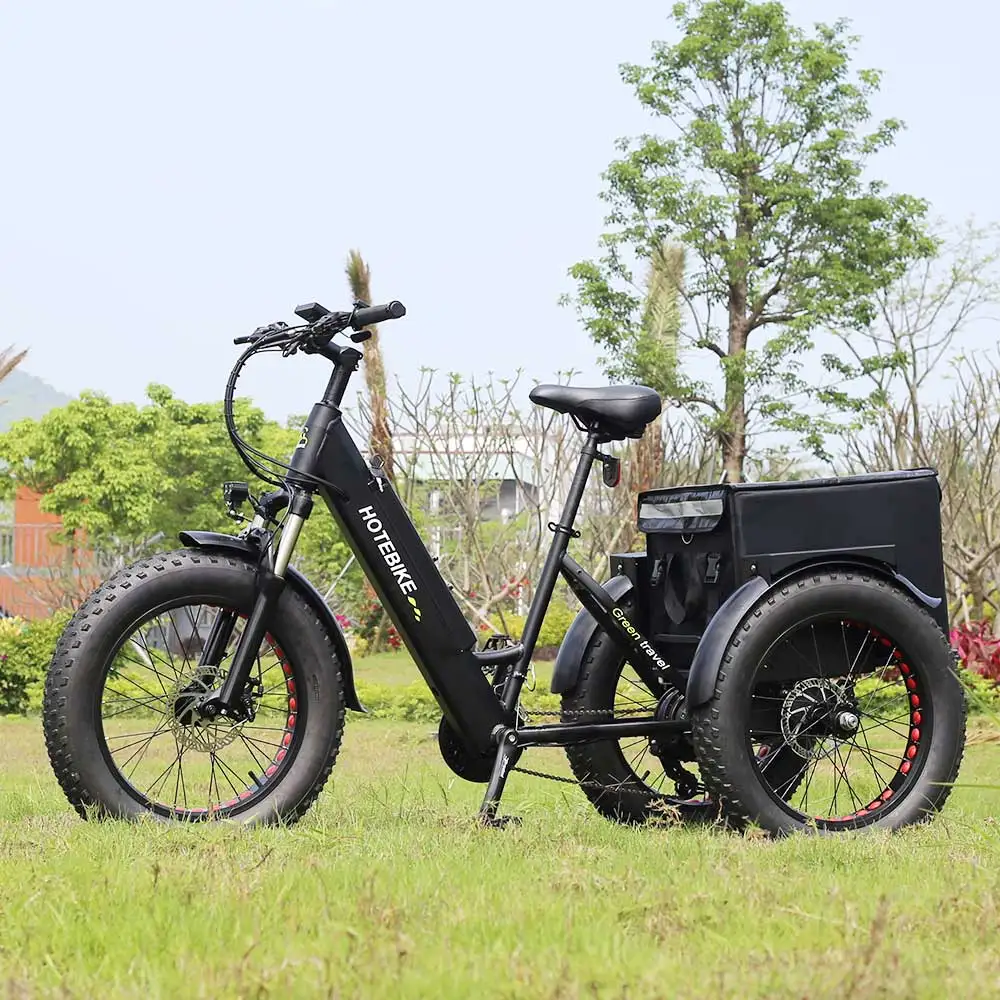 48v 15ah/20ah 3 wheels  pedal assisted Sand road beach cruiser ebike/cargo bike electric/3 wheel ebike