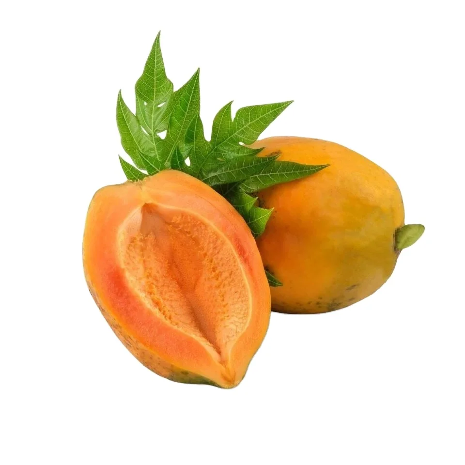 Good Quality Sweet Flavor Wholesale Fresh Papaya for Bulk Buyers Good premium export standard fresh papaya/ Fresh Papaya