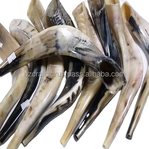  Оптовая продажа полированный Рог SHOFAR / KUDU KOSHER
