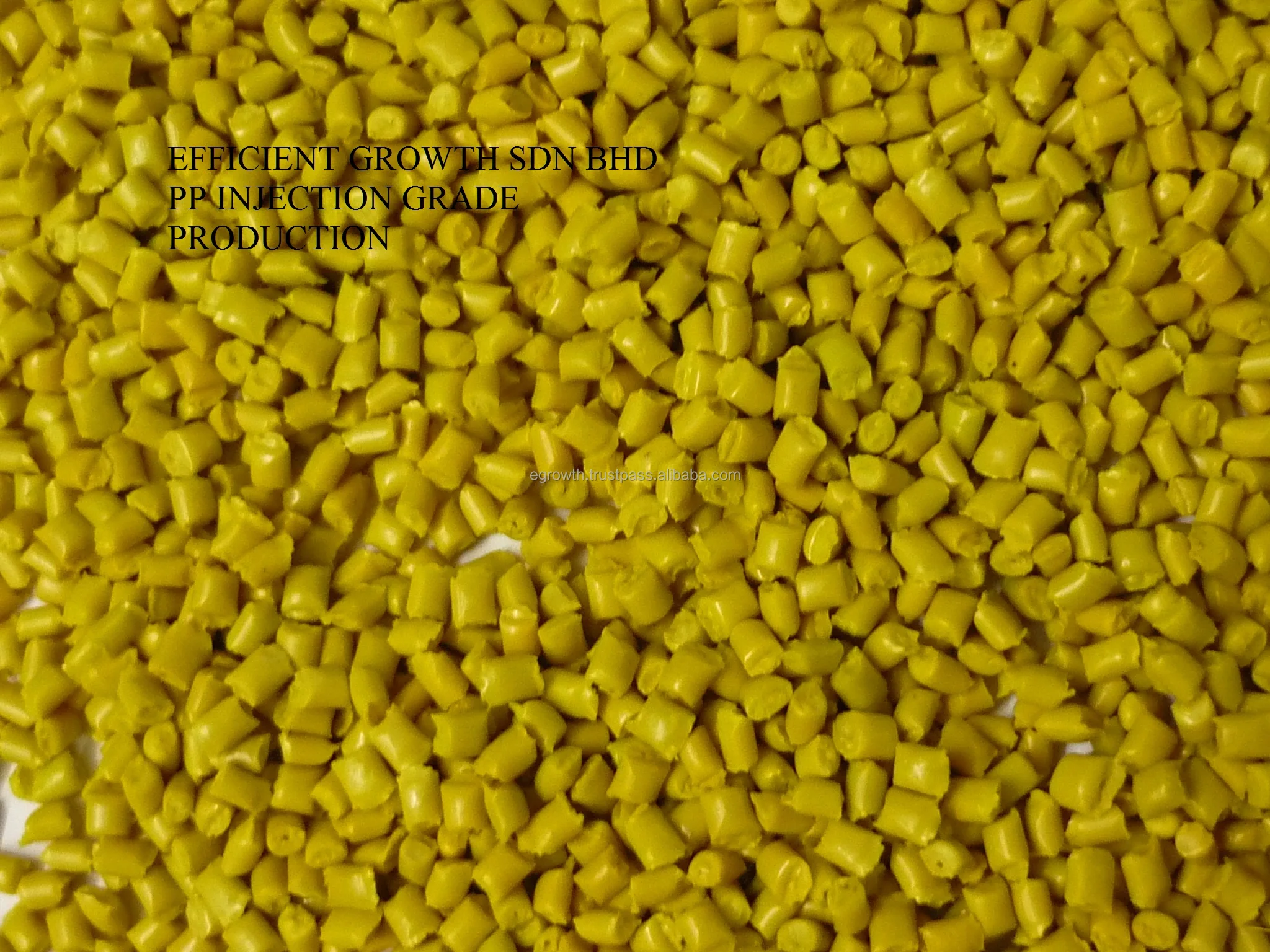 1.6 PP Yellow 1 pd.jpg
