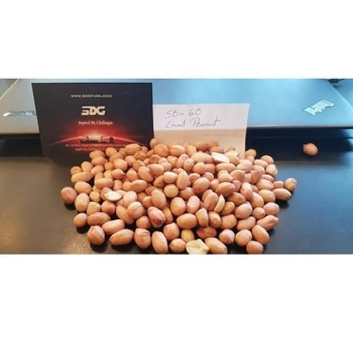 Mungfali Dana 50 60 JAVA Peanut Groundnut Kernels at best Offer Price