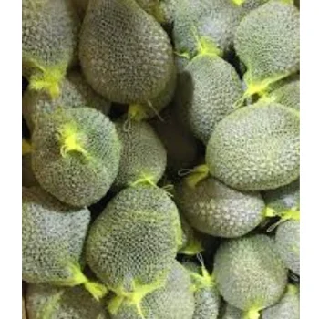 Frozen Durian , Durian meat , Durian frozen 100% natural Sugar Natural Fruit Premium Freeze Dried Durian Slice