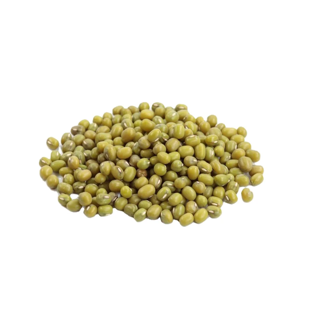 Factory Wholesale Organic Sprouting Green Mung Bean Seeds Organic