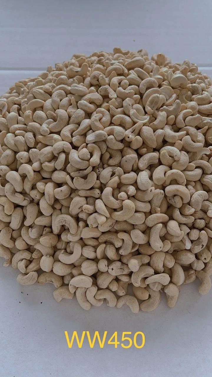 Premium quality cashewnut COMMON cashew nuts w240 nuts packaging box cashew nuts roasted