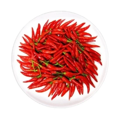 Spicy Celestial chili - 100% Natural Celestial chili made in Viet Nam Export Spicy Wholesale 2021 Newest crop