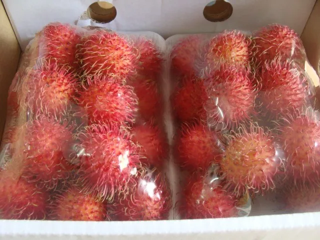 Экспорт фруктов rambutan, Вьетнам