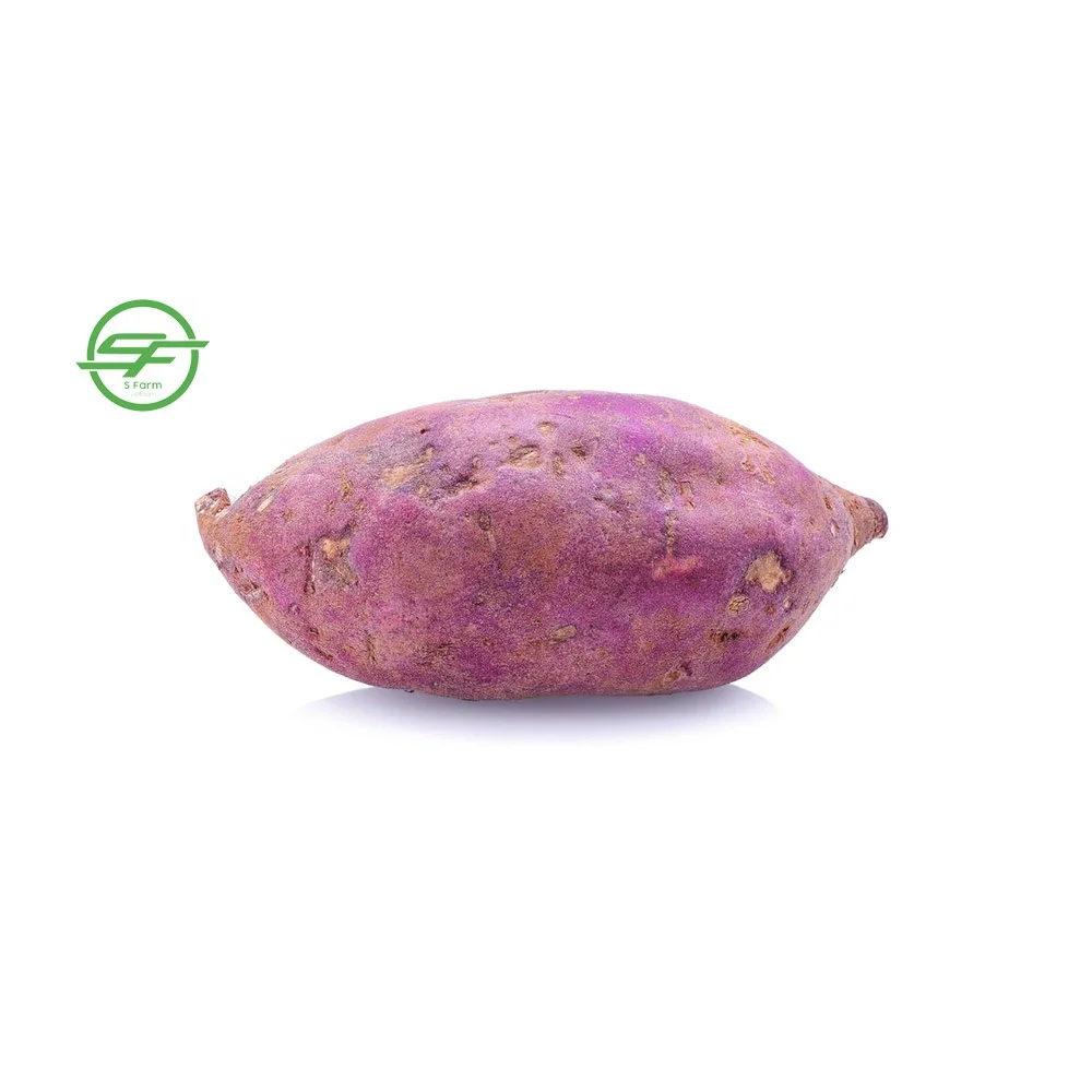  Хорошая цена фиолетовый сладкий картофель (Whatsapp/zalo/wechat: + 84 912 964 858)