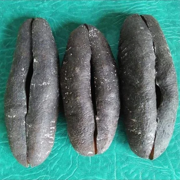 Best Quality Price Black Teat Dried And Frozen Natural Sea Cucumber For Export Gamat Natural Health Benefit Seafood