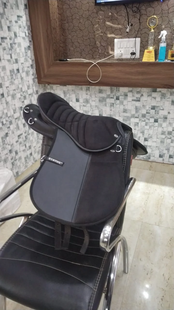 STATUS SADDLE