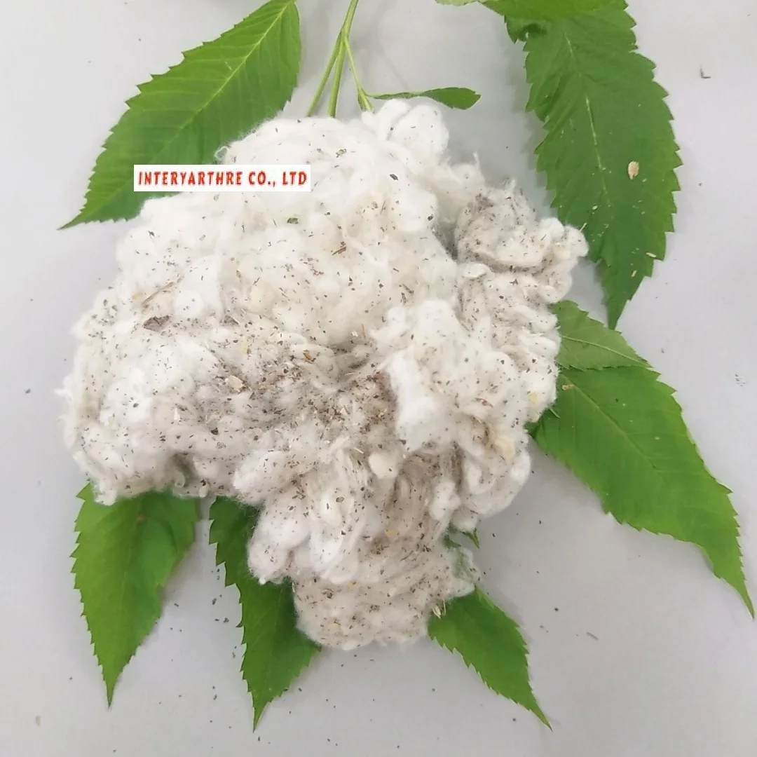 Card fly cotton waste recycling cotton fiber waste lickerin in bales _ Ms. Azura